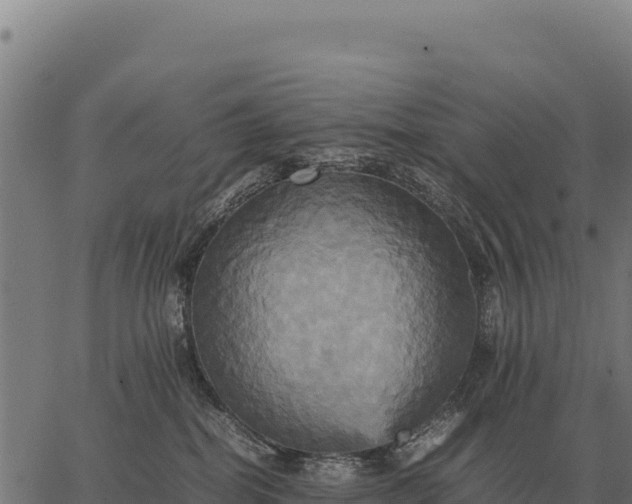 X0000066520282200603311802