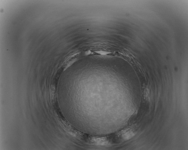 X0000066520283200603311802