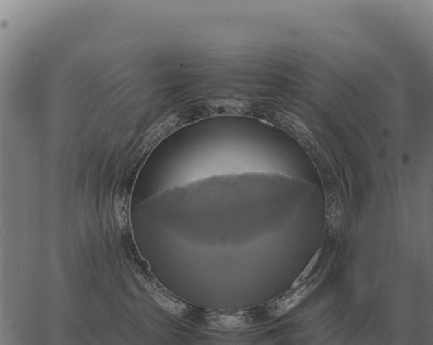 X0000066520285200603311802