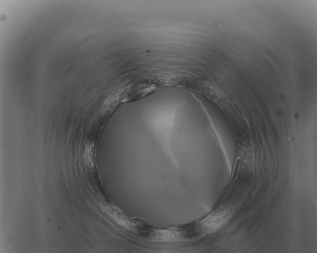 X0000066520286200603311802