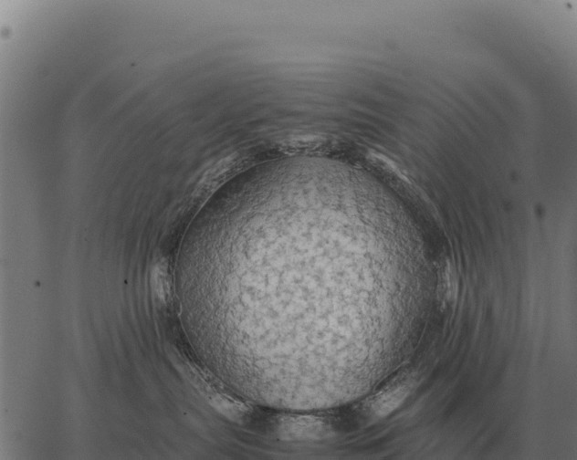 X0000066520287200603311802