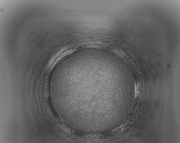 X0000066520291200603311801