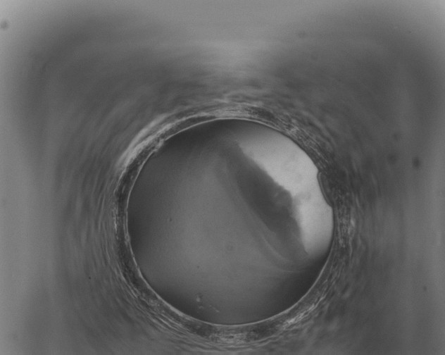 X0000066520295200603311801