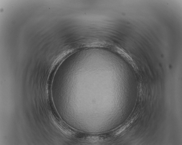 X0000066520298200603311801