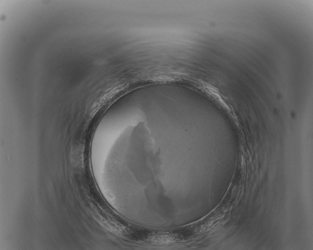 X0000066520299200603311801