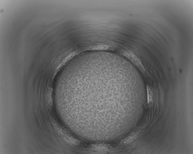 X0000066520300200603311801