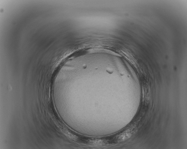 X0000066520301200603311801