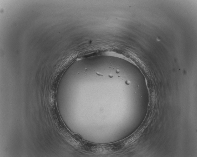 X0000066520305200603311801