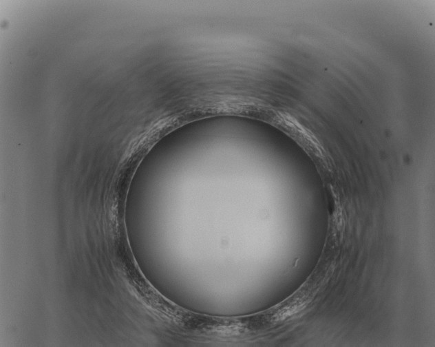 X0000066520306200603311801