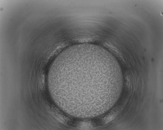 X0000066520308200603311801