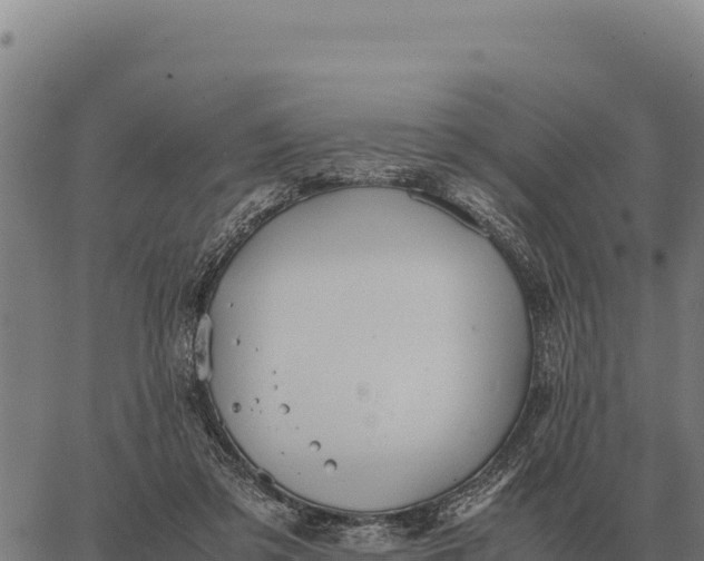 X0000066520309200603311801