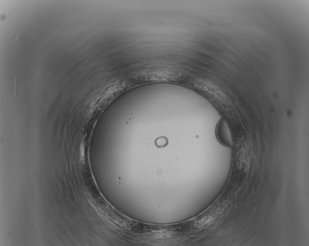 X0000066520310200603311801