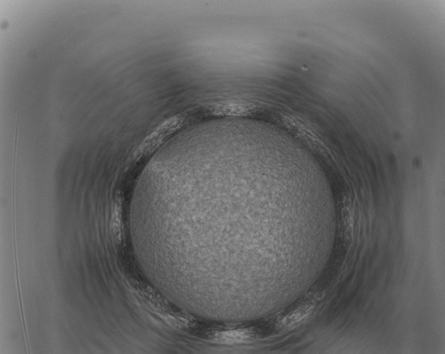 X0000066520312200603311801