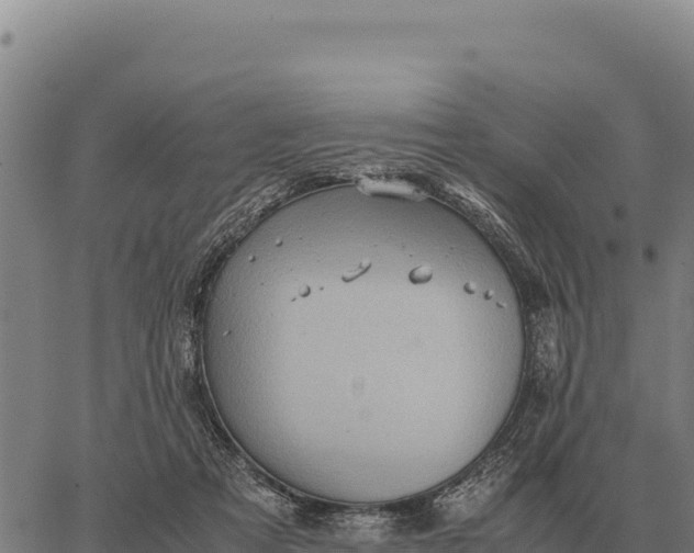 X0000066520313200603311801