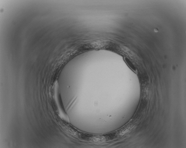 X0000066520317200603311801