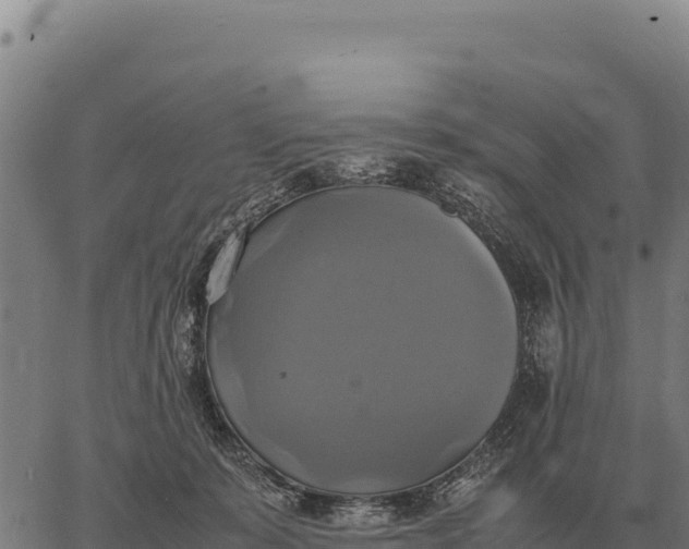 X0000066520319200603311801