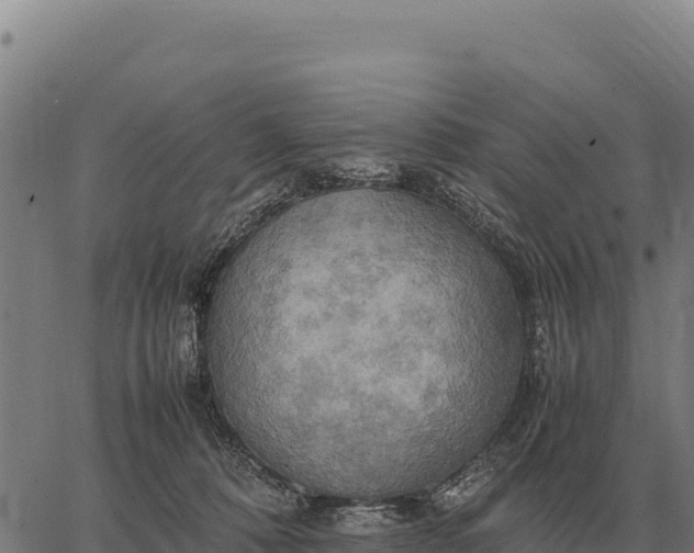 X0000066520320200603311801