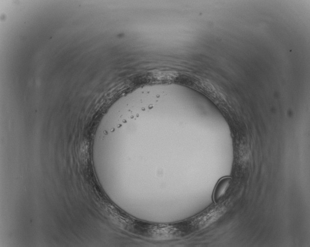 X0000066520321200603311801