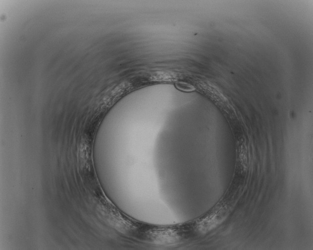 X0000066520322200603311801