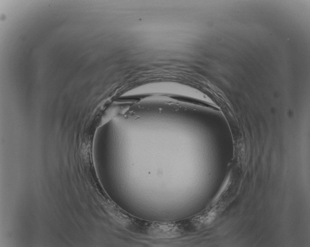 X0000066520329200603311800