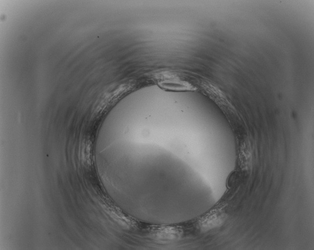 X0000066520330200603311800