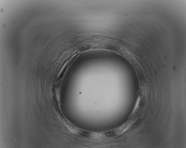 X0000066520333200603311800