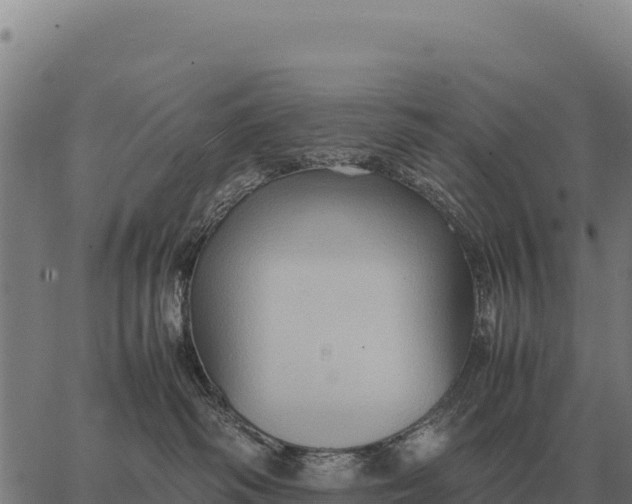 X0000066520334200603311800