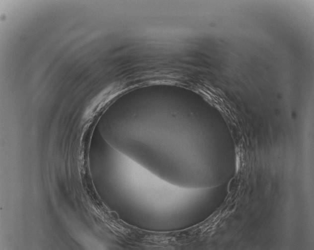 X0000066520339200603311800