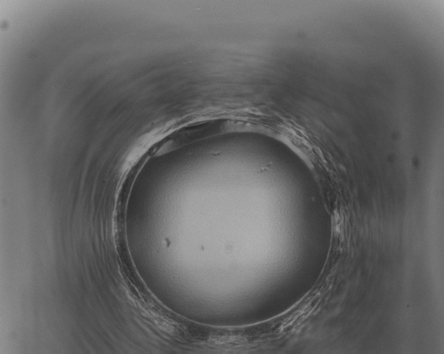 X0000066520340200603311800