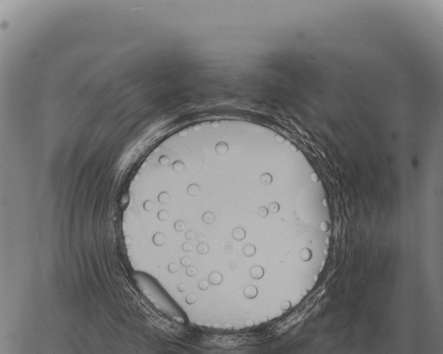 X0000066520341200603311800