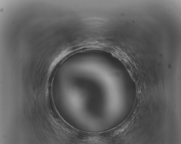 X0000066520344200603311800