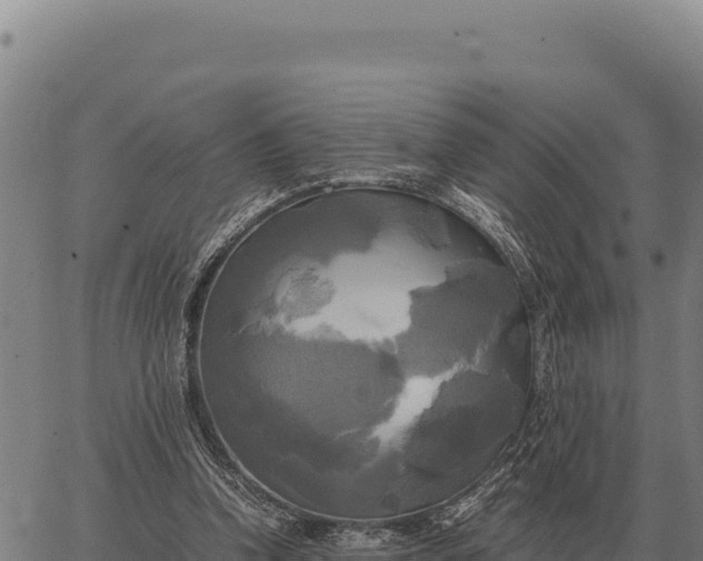 X0000066520346200603311800