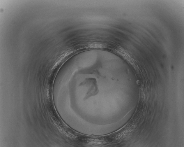 X0000066520347200603311800