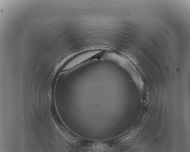 X0000066520348200603311800