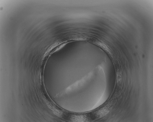 X0000066520349200603311800