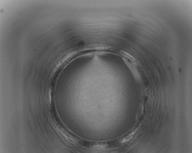 X0000066520350200603311800