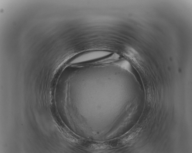 X0000066520351200603311800