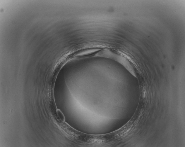 X0000066520352200603311800