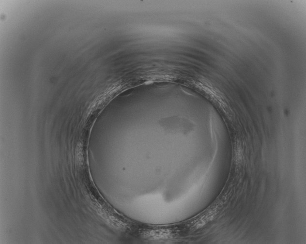 X0000066520353200603311800