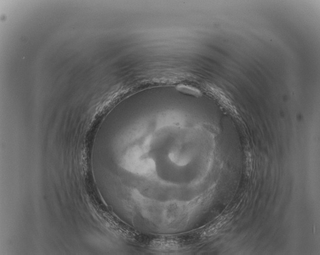 X0000066520354200603311800