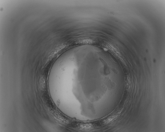 X0000066520355200603311800