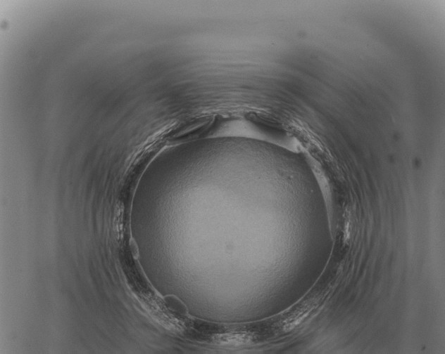 X0000066520356200603311800