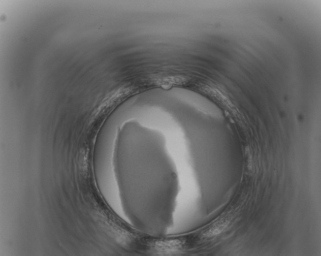 X0000066520357200603311800