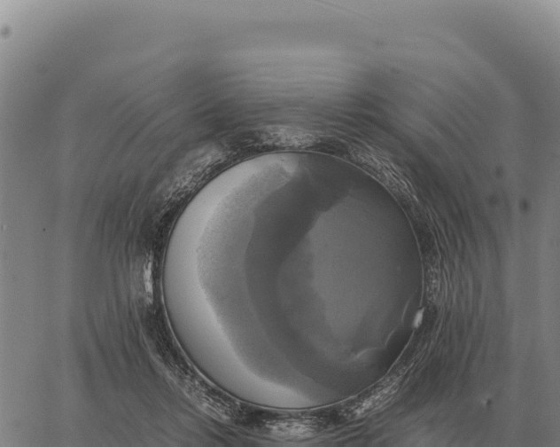 X0000066520358200603311800