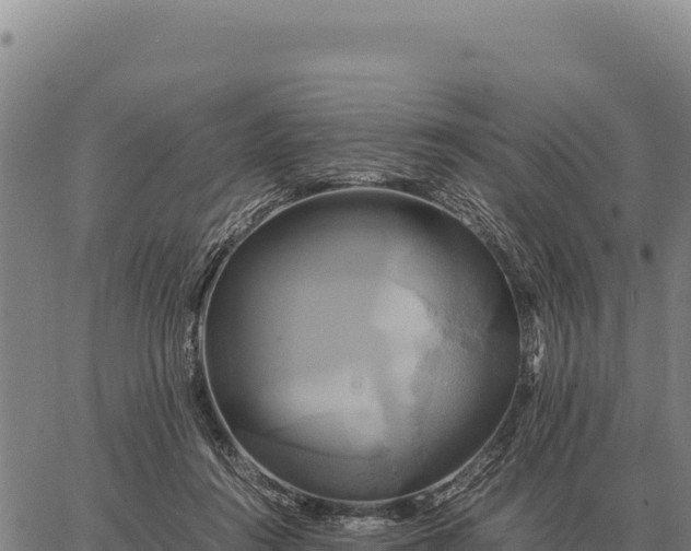 X0000066520360200603311800