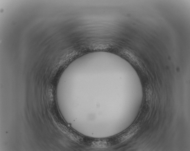 X0000066520362200603311800