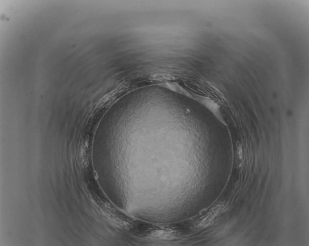 X0000066520364200603311800