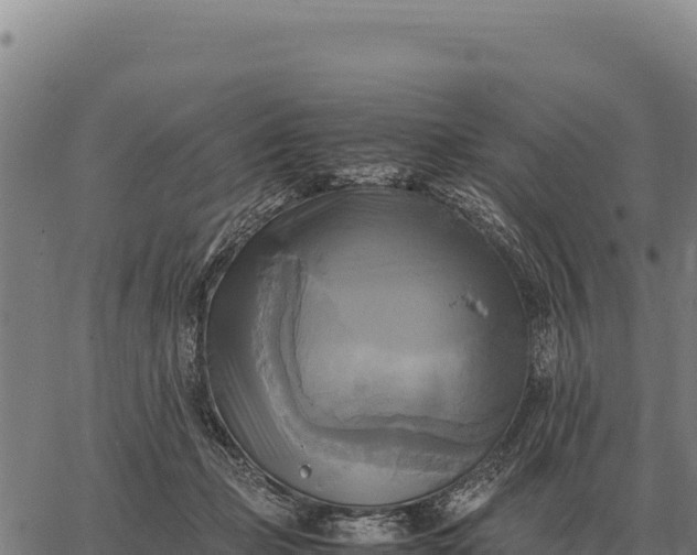 X0000066520365200603311800