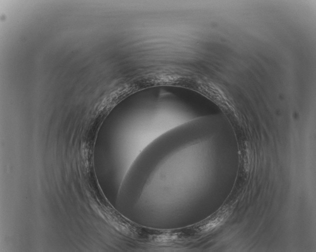 X0000066520366200603311800