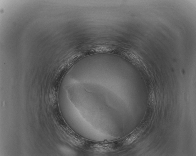 X0000066520367200603311800